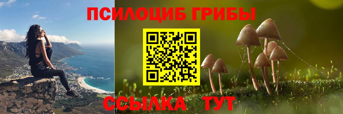 Златоуст  Галлюциногенные грибы мухоморы  Вход с VPN 